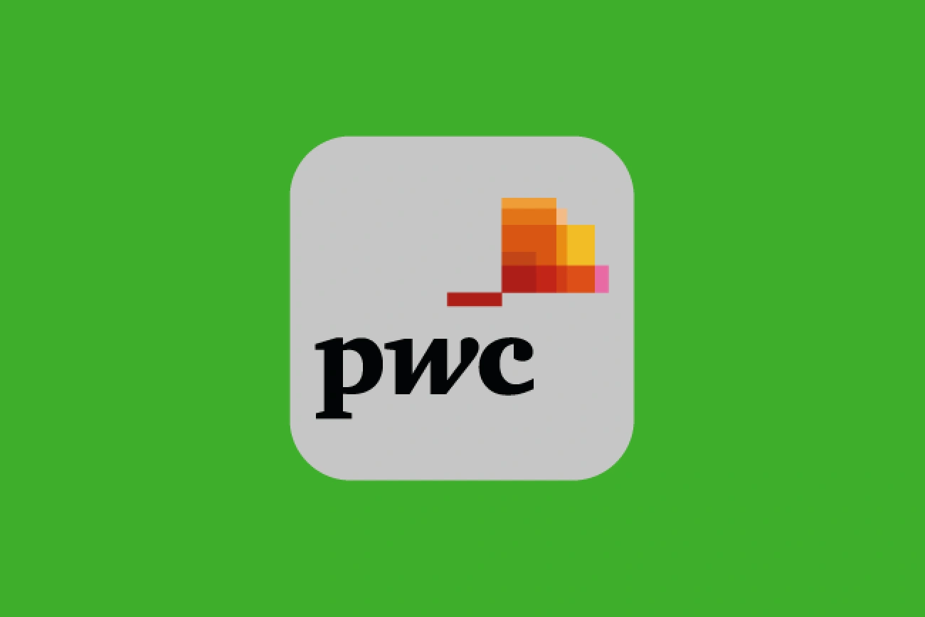 2018 Financial Statement Audit – DULCOP chooses one of the “Big Four”