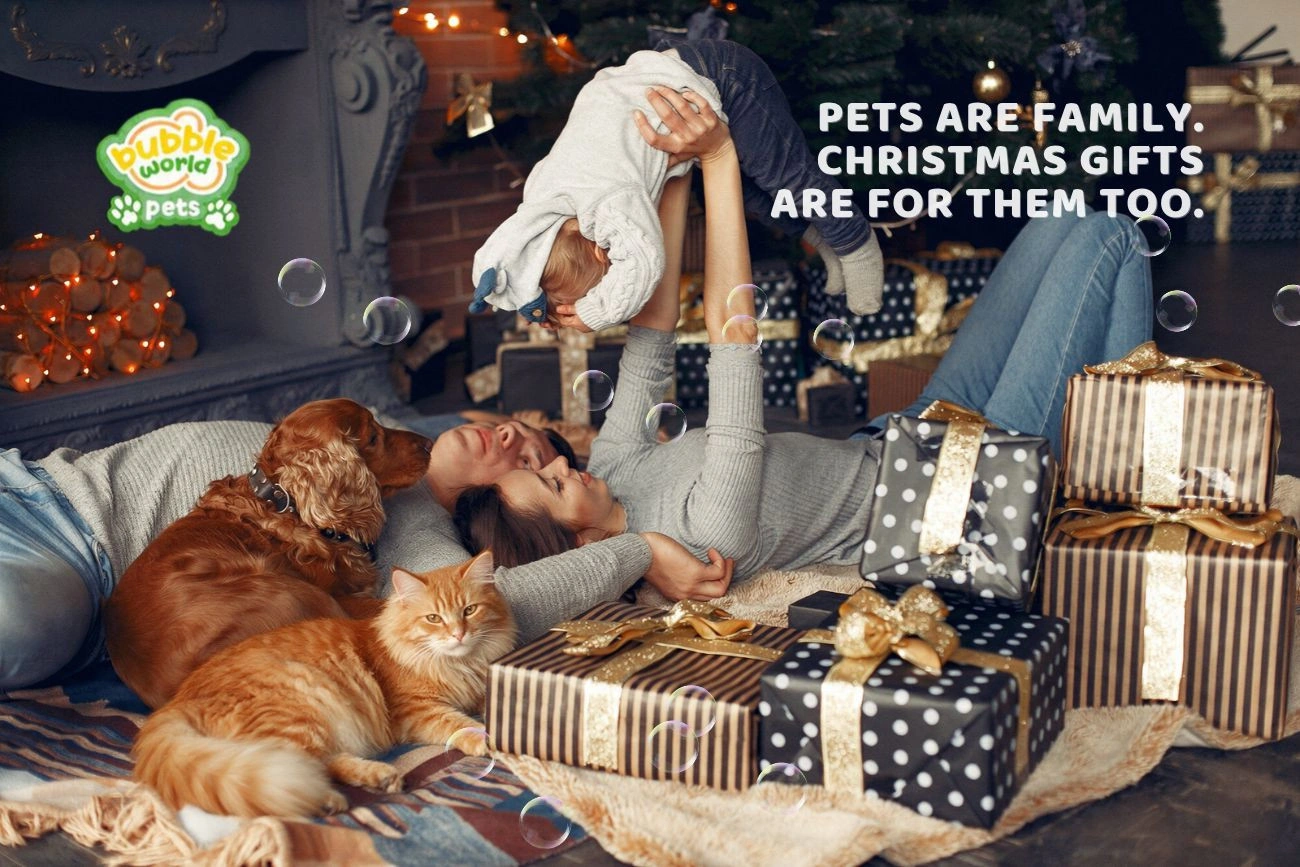 Pet Humanisation Is Expanding the Scope of Pet Retail